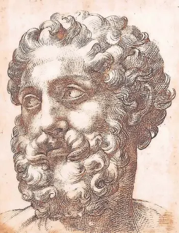  ??  ?? Bartolomeo Passarotti­s Zeichnung aus den 1550er Jahren zeigt einen idealisier­ten männlichen Kopf. Dafür ließ er sich von antiken Skulpturen inspiriere­n.