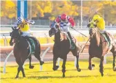  ?? Pictures: GRAFTON DAILY EXAMINER/SAM FLANAGAN ?? Ben Looker drives Sacred Day (left) home to win the Grafton Cup; and celebrates later with his parents Debbie and Michael and wife Priscilla.