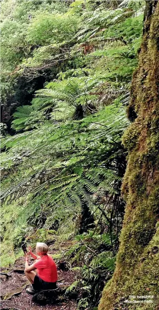  ??  ?? The beautiful Korokoro Falls.