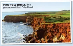  ??  ?? VIEW TO A THRILL: The sandstone cliffs at Orby Head