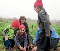  ??  ?? Robert’s wife Robyn oversees planting a grafted apple tree.