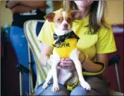  ?? YUMA SUN FILE PHOTO ?? ABOUT 85 ANIMALS WILL BE GETTING PREPPED for adoption, thanks to a $30,000 grant recently awarded to the Humane Society of Yuma.
