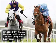  ?? ?? DEAD HEAT: Danny Mullins on Princess Zoe and (left) and Ladybank