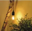  ?? Foto: DIY Academy ?? Mit einem Birkenstam­m kann man eine Lampe bauen.