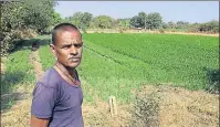  ?? HT ?? Kailash Saini, a soyabean grower near Sonkatch in Devas district, failed to enrol for the pricecompe­nsation scheme in time.