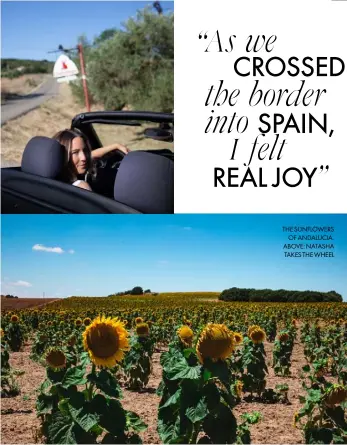  ??  ?? THE SUNFLOWERS OF ANDALUCIA. ABOVE: NATASHA TAKES THE WHEEL