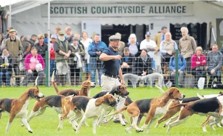  ??  ?? A display in the main ring by the Fife Foxhounds at last year’s Scottish Game Fair.