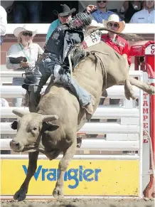  ??  ?? Merritt, B.C., bull rider Ty Pozzobon held on tight to Mr. Buddy as he rode for a score of 89.5 on Wednesday.