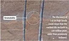  ??  ?? Stromatoli­te The discovery of 1-4-cm-high fossils could mean that the earliest life on Earth is 220 million years older than previously believed.