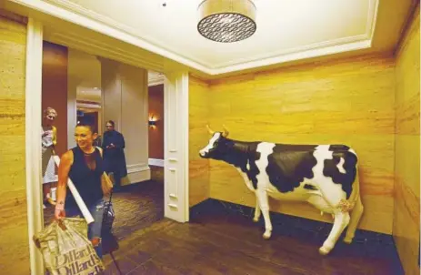  ?? Hyoung Chang, The Denver Post ?? Moonica the cow statue welcomes travelers near the elevator at Hotel Monaco Denver.