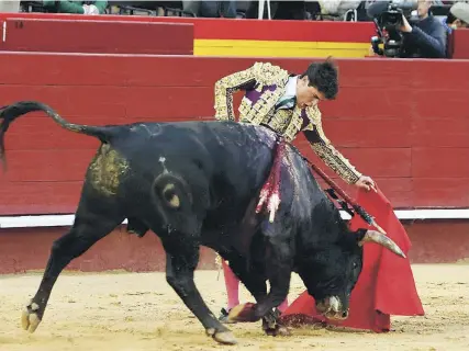  ?? MATEO ?? Natural de Jarocho, el único novillero que consiguió cortar una oreja de la buena novillada de Fuente Ymbro