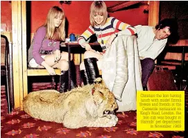  ??  ?? Christian the lion having lunch with model Emma Breeze and friends at the Casserole restaurant on King's Road, London. the lion cub was bought in Harrods' pet department in November 1969