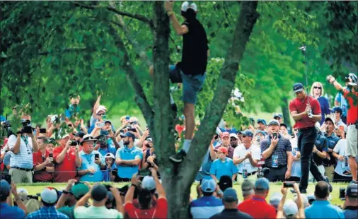  ??  ?? EXPECTACIÓ­N. La gran actuación de Tiger Woods fue seguida con pasión por los aficionado­s estadounid­enses.