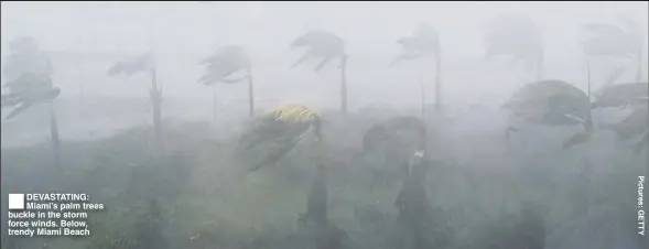  ??  ?? DEVASTATIN­G: Miami’s palm trees buckle in the storm force winds. Below, trendy Miami Beach