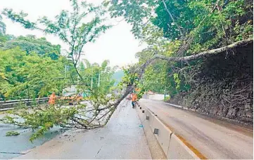  ?? ?? Afectacion­es. Las próximas lluvias podrían causar deslizamie­ntos y más árboles caídos.