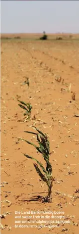  ?? FOTO: JOHAN NORVAL ?? Die Land Bank moedig boere wat swaar trek in die droogte aan om om hulplening­s aansoek te doen.