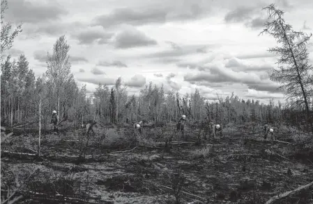  ?? Photos by Ash Adams/New York Times ?? A firefighti­ng crew feels the ground for hot spots in the aftermath of the fire near Clear Space Force Station in Alaska.