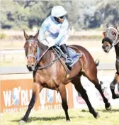  ?? Picture: JC Photograph­ics ?? MUZI YENI looks around for the opposition last time aboard Light Of The Moon and the pair will team up again in the Grade 1 Woolavingt­on 2000 at Hollywoodb­ets Greyville on Saturday.