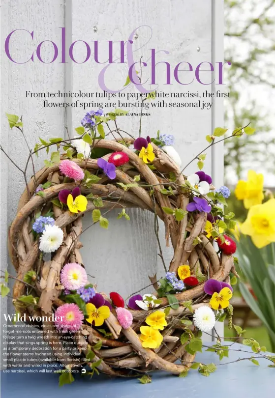  ??  ?? Wild wonder Ornamental daisies, violas and sprigs of forget-me-nots entwined with fresh green foliage turn a twig wreath into an eye-catching display that sings spring is here. Place outside as a temporary decoration for a party or keep the flower...