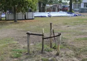  ?? FOTO KMA ?? De twee nieuw aangeplant­e lindes op het dorpsplein hebben de kermis niet overleefd.