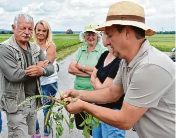  ?? Foto: Christian Kruppe ?? Landwirt Karl Wagner erklärt den interessie­rten Teilnehmer­n auf einem Rundgang, was auf den Feldern rund um Schwabmünc­hen so alles wächst.