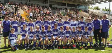  ??  ?? The Oylegate-Glenbrien squad before Sunday’s Division 6 Cup final in Nowlan Park, Kilkenny.