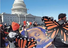  ??  ?? Wearing “butterfly wings,” DACA supporters hold a tarp with an image of President Trump as they march Monday on Capitol Hill.