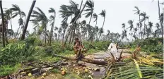  ?? AFP ?? Women carry coconuts next to fallen palm trees after heavy winds brought by Cyclone Titli struck the area in Barua village