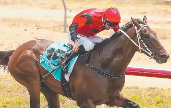  ?? Picture: RACING PHOTOS ?? PROVING THEM WRONG: Young Douro, ridden by Jake Noonan, salutes at Ararat after having injury problems earlier in his career.