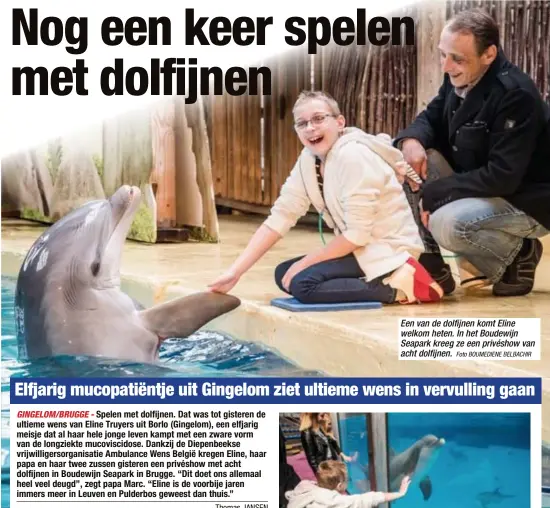  ?? Foto BOUMEDIENE BELBACHIR ?? Een van de dolfijnen komt Eline welkom heten. In het Boudewijn Seapark kreeg ze een privéshow van acht dolfijnen.