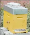  ??  ?? Les pompiers acteurs pour la sauvegarde des abeilles