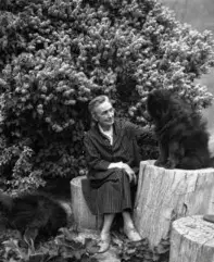  ?? TODD WEBB ARCHIVE ?? Above left: Billie Holiday and Mister in her dressing room at Club Downbeat in New York City in the 1940s. Above right: Georgia O’Keeffe with one of her chow chows in Abiquiú, New Mexico in 1962.