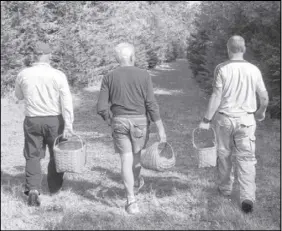 ?? BiLL SPURR/tHE CHRoniCLE HERaLd ?? Al Archibald, Franz Roth and Daniel Albert, all of Bedford, head home after a morning of foraging for mushrooms in local woods.