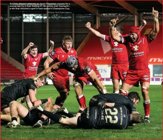  ?? Picture: Huw Evans Agency. ?? Scarlets players celebrate as Javan Sebastian crosses for a crucial late try in their thrilling 41-36 victory over Connacht – a win that clinched a spot in next season’s Champions Cup.