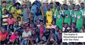  ?? ?? The teams in Mozambique pose with the rhino