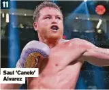  ?? ?? Saul ‘Canelo’ Alvarez