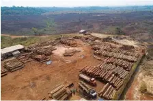  ?? AP PHOTO/ANDRE PENNER ?? Logs are stacked last year at a lumber mill surrounded by recently charred and deforested fields near Porto Velho, Rondonia state, Brazil.