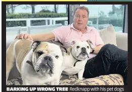  ??  ?? BARKING UP WRONG TREE Redknapp with his pet dogs