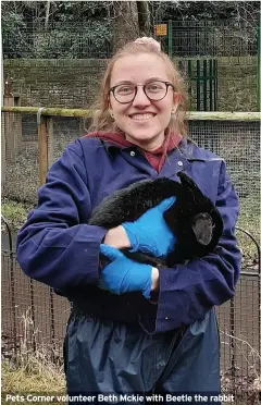  ??  ?? Pets Corner volunteer Beth Mckie with Beetle the rabbit