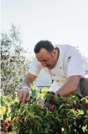  ??  ?? This page and opposite: Chef Massimo Falsini gets his hands dirty sourcing and cooking with local ingredient­s