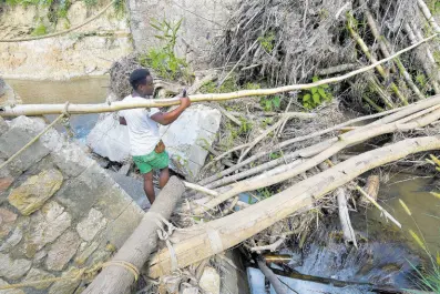  ?? FILE PHOTOS ?? A man walks among trees and other debris that lodged in the foundation of a bridge in Troy that collapsed in 2021 to cross the Hector River.