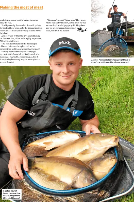  ??  ?? Another Moorlands Farm heavyweigh­t falls to Aiden’s carefully-considered meat approach In just an hour of fishing the meat line, Aiden put together a 50lb net of big carp!