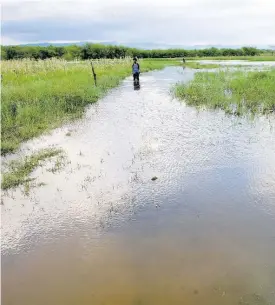  ?? RICARDO MAKYN ?? A section of Howard Ricketts’ flooded farm.