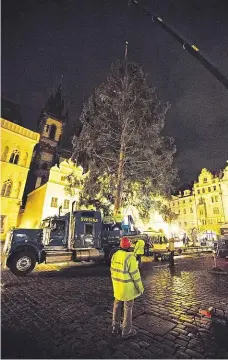  ??  ?? Pražský smrk Čtyřiadvac­etimetrový smrk z Křivokláts­ka přijel do centra Prahy zapřažený za tahačem v noci na úterý.