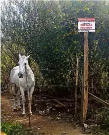  ?? Gabriel Cabral/Folhapress e Camila Mattoso/Folhapress ?? À esq., prolongame­nto do contorno de São Roque, no km 58 da Raposo Tavares; à dir., ao lado da pista, propriedad­e ligada a familiares de Alckmin