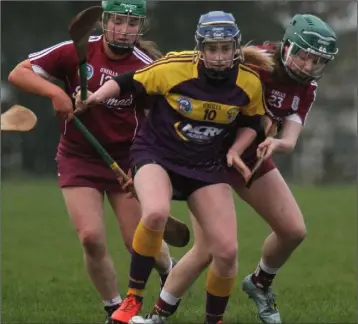  ??  ?? Wexford’s Orla Molloy is outnumbere­d by Galway duo Mairéad Dillon and Niamh Jenkins.