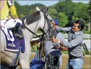  ?? DAVID M. JOHNSON — DJOHNSON@DIGITALFIR­STMEDIA.COM ?? Trainer Rudy Rodriguez sponges off Jules N Rome after her win in the $100,000 Saratoga Dew Stakes at Saratoga Race Course Aug. 15, 2016. Rodriguez will send out Everybodyl­uvsrudy (not pictured) in Friday’s Curlin Stakes at Saratoga.