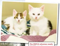  ??  ?? The RSPCA rehomes nearly 50,000 animals a year.