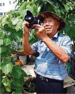  ??  ?? Though Chuan has taken a multitude of pictures of both flora and fauna, the photograph­y bug only bit him a few years ago. — ART CHEN/The Star