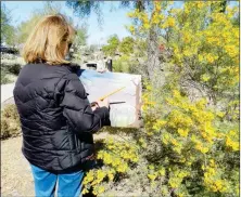  ??  ?? AN ARTIST CREATES A “PLEIN AIR” – OR OUTDOOR – AT THE MOODY GARDEN. Prizes will be handed out in the genre in the Art in the Garden event slated Feb. 8. Cindy Carey, Pecan Grove Garden Club member, (in right photo) stands beside decorated birdhouses that will be for sale at Art in the Garden. Proceeds from the event go toward funding community beautifica­tion projects.